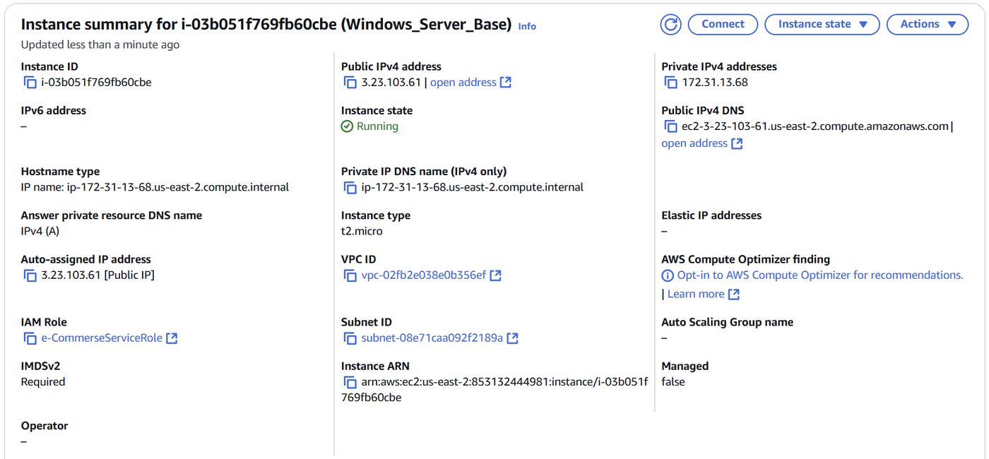 AWS EC2 instance summary for the Windows Server base instance